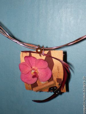 collier ; vanda(orchidée) bouleau, poivre teinté, monnaie du pape.