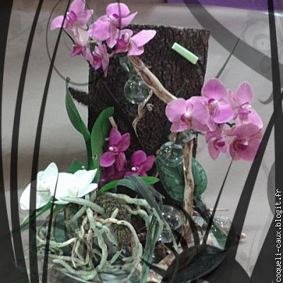 composition à base d' orchidées phalaenopsis, fiole de verre, bois.